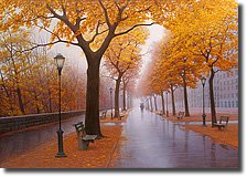 Autumn in New York By Alexei Butirskiy