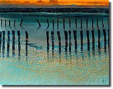 Low Tide by Ton Dubbeldam