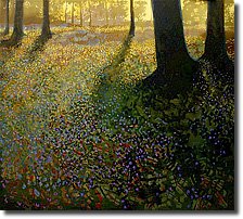 The Forest by Ton Dubbeldam